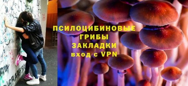 ALPHA PVP Верея