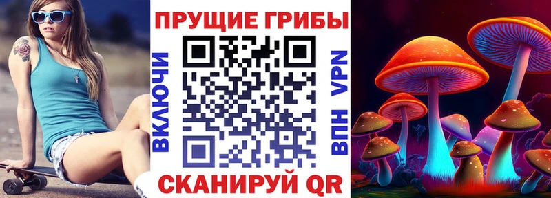 Псилоцибиновые грибы Psilocybine cubensis  hydra ССЫЛКА  Рузаевка 